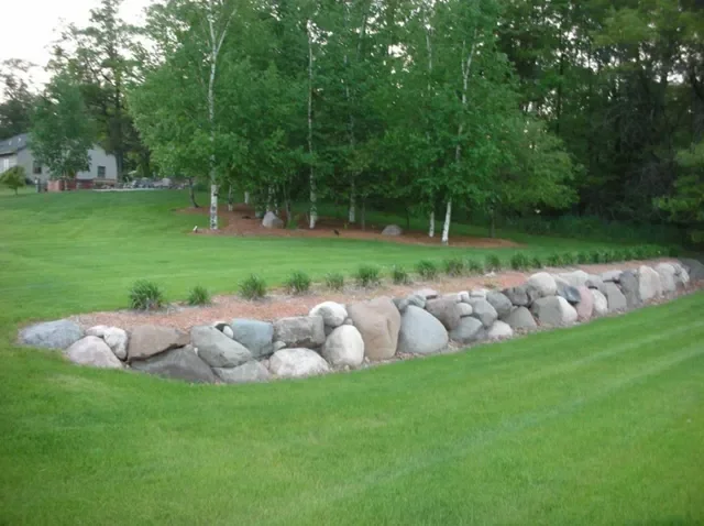 Boulder edging installation with native plantings along curved landscape border in lawn